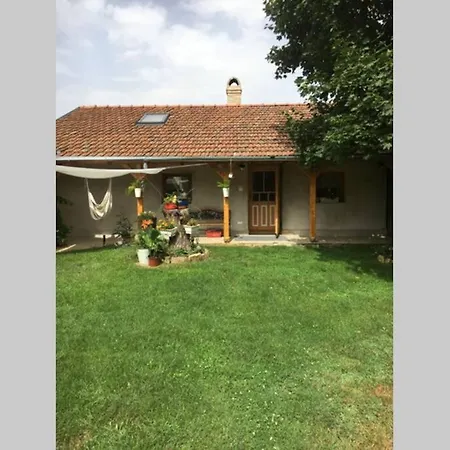 Ferienwohnung Tanya Anna Csengele Exterior foto